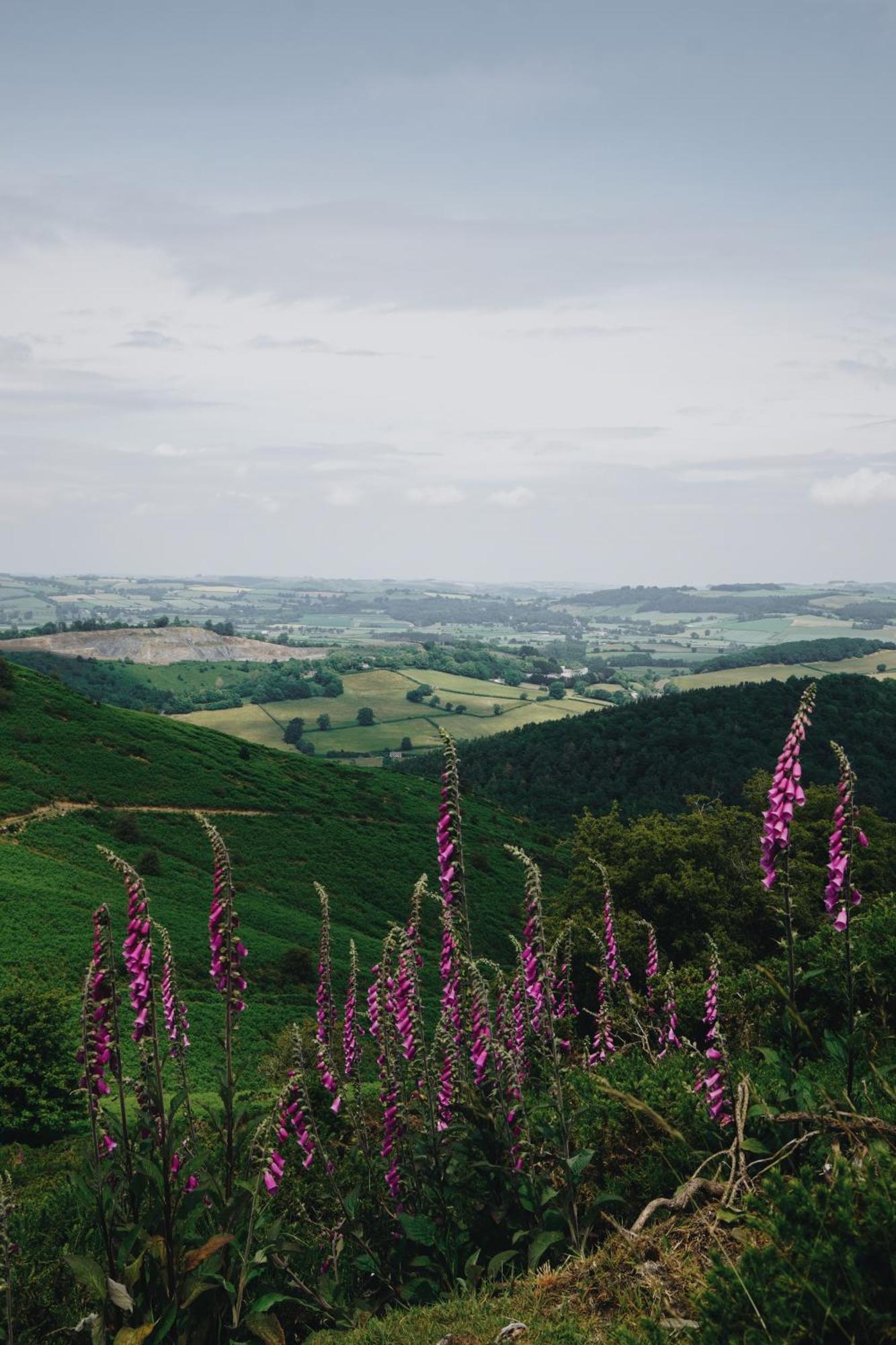 Two Unique Cabins Wrapped In Beautiful Welsh Scenery Presteigne Eksteriør bilde