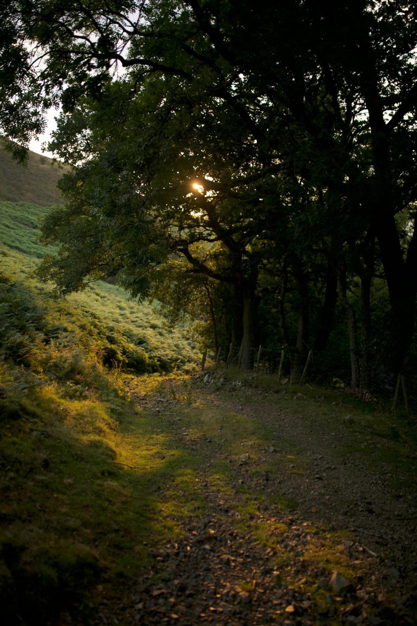 Two Unique Cabins Wrapped In Beautiful Welsh Scenery Presteigne Eksteriør bilde