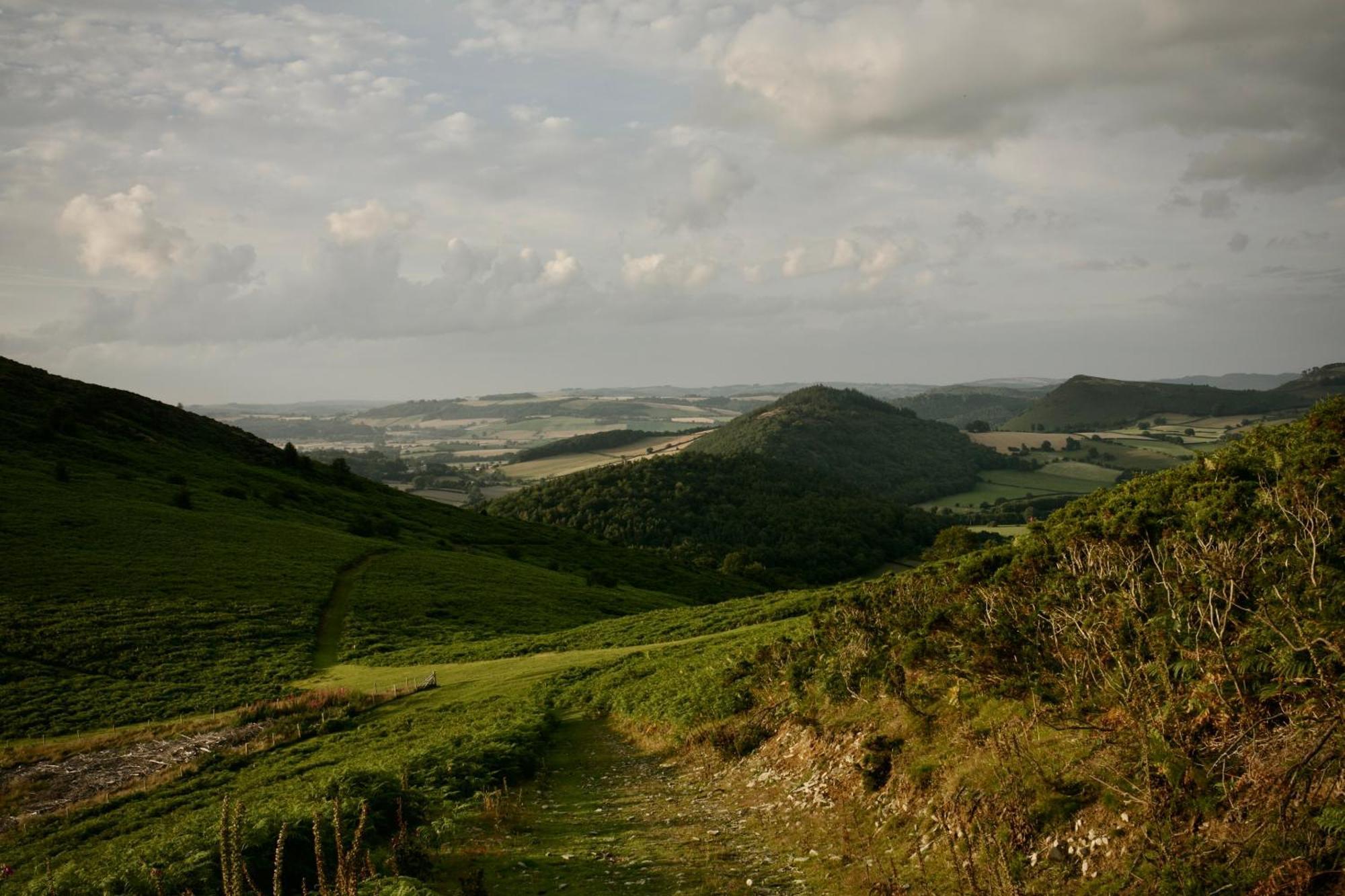 Two Unique Cabins Wrapped In Beautiful Welsh Scenery Presteigne Eksteriør bilde