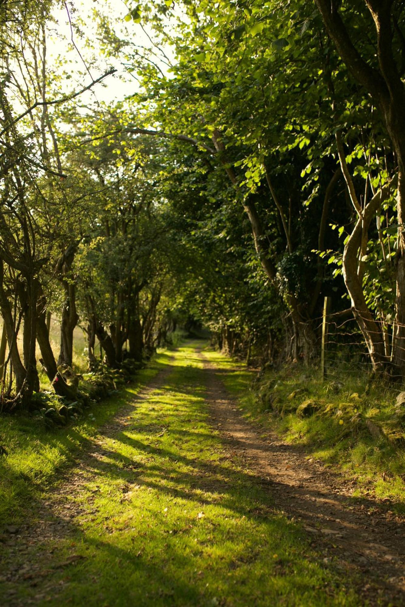 Two Unique Cabins Wrapped In Beautiful Welsh Scenery Presteigne Eksteriør bilde